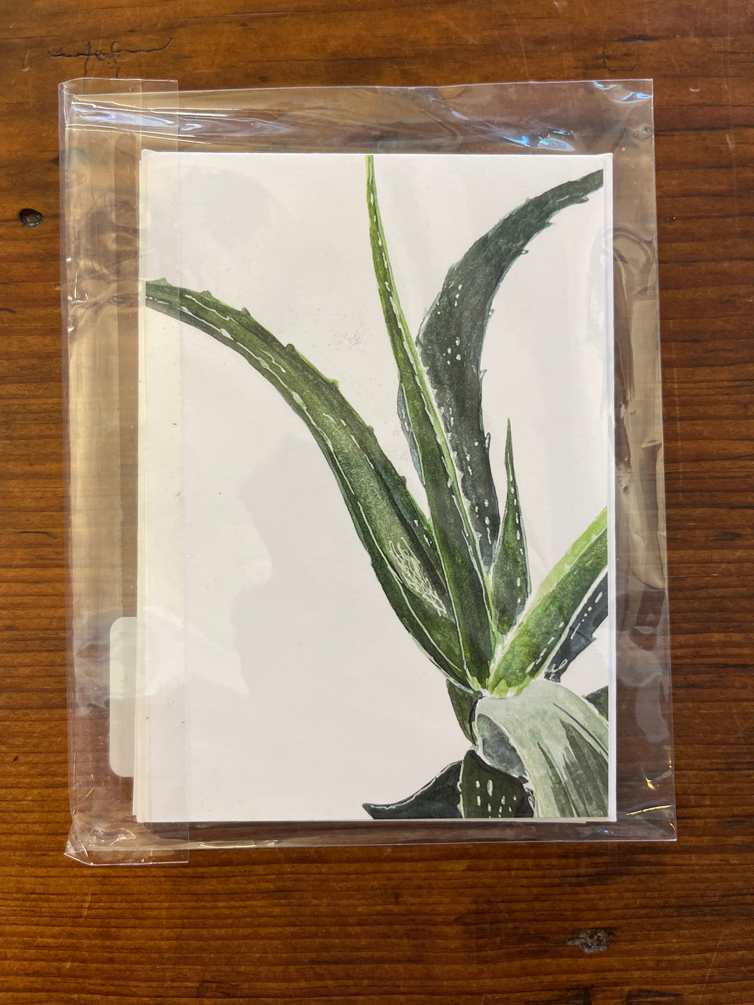 Aloe Plant Cards (3 Pack)