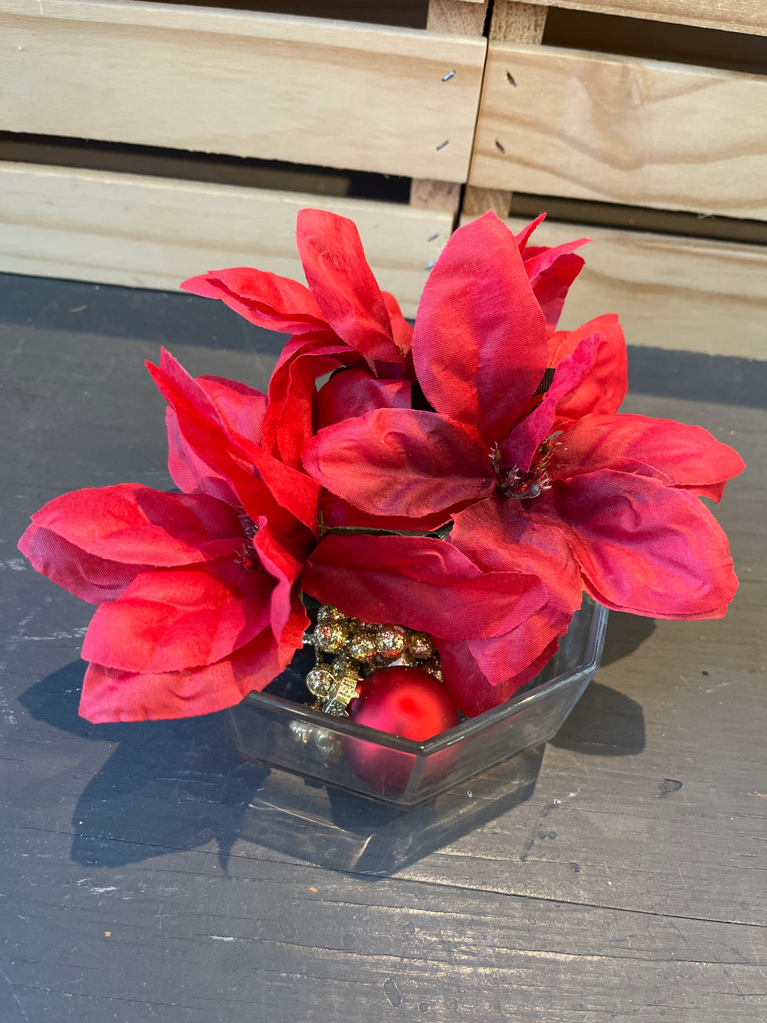 Holiday Plant Arrangement