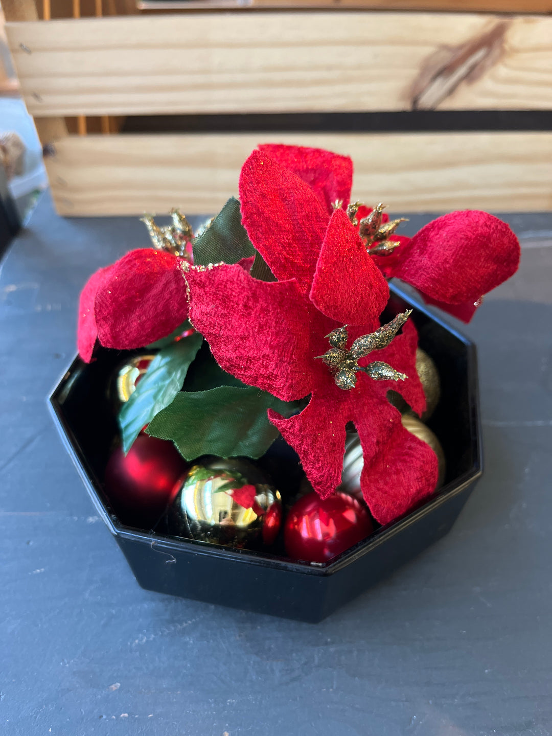 Holiday Plant Arrangement