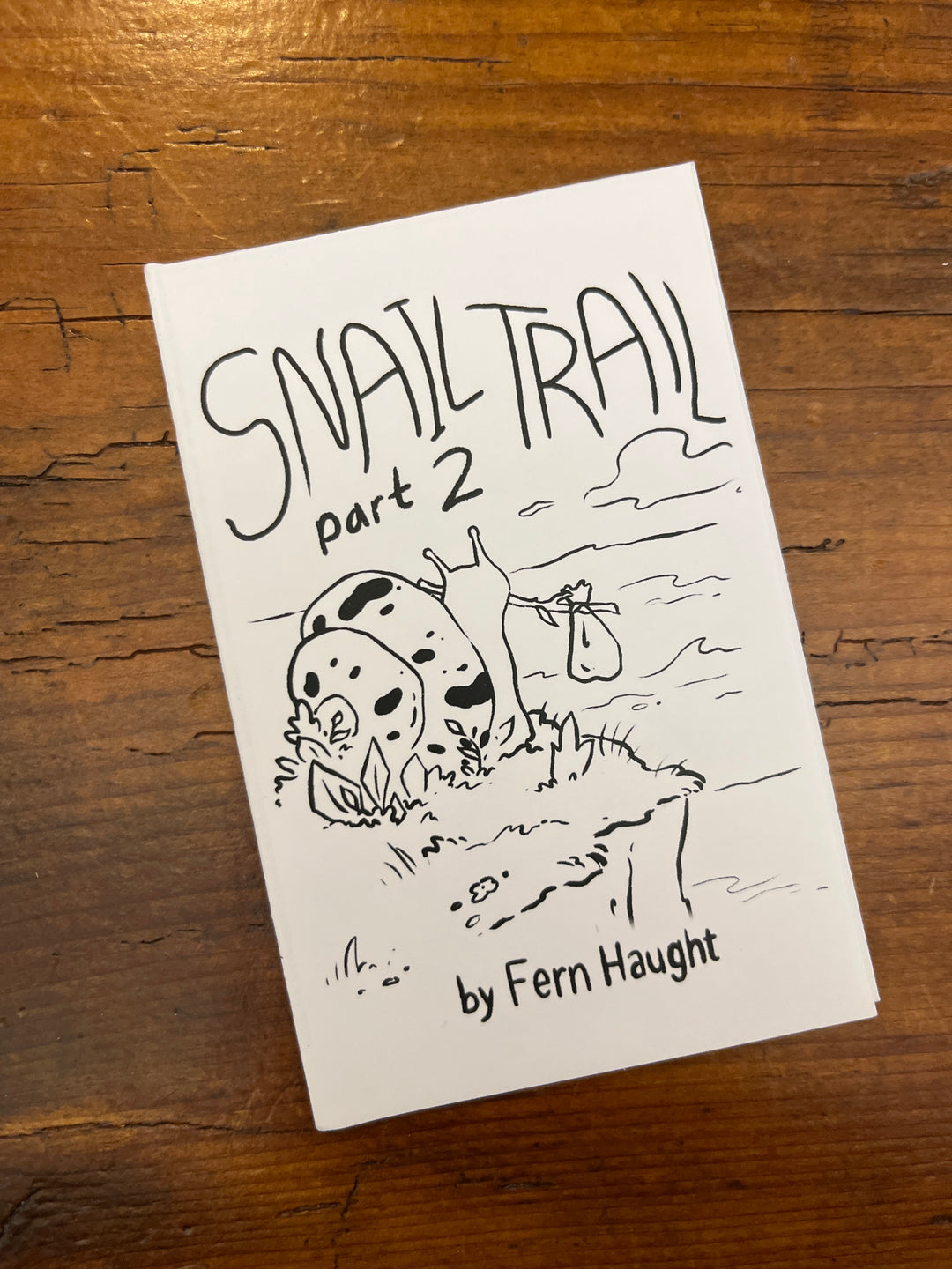 Snail Trail 2 zine