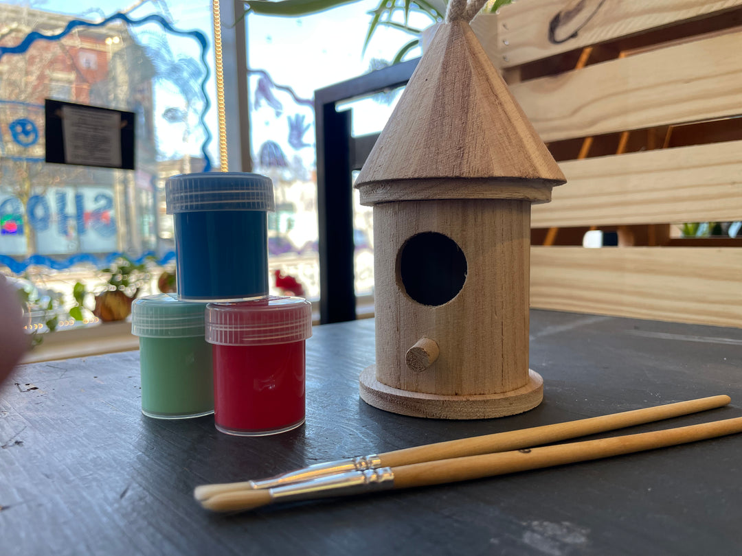 Paint Your Own Wooden Bird House Kit