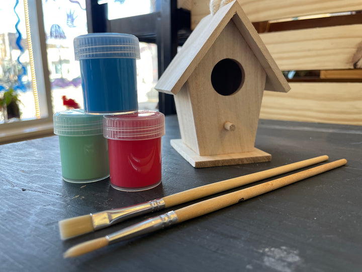 Paint Your Own Wooden Bird House Kit