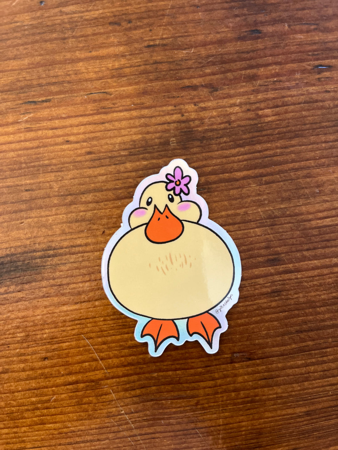 Cute Duckie Sticker